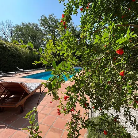 Gasthof Chateau De Roquelune Pézenas