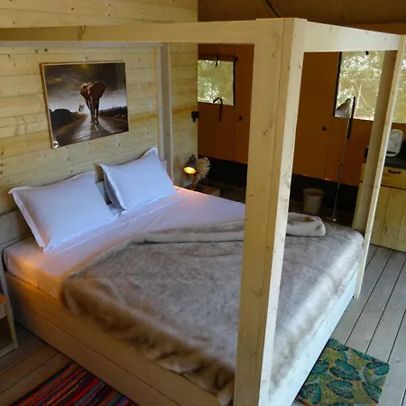 Chateau De Roquelune